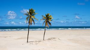 Preview wallpaper beach, palm trees, sand, sea, summer