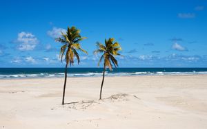 Preview wallpaper beach, palm trees, sand, sea, summer