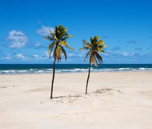 Preview wallpaper beach, palm trees, sand, sea, summer