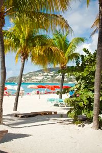 Preview wallpaper beach, palm trees, sand, summer