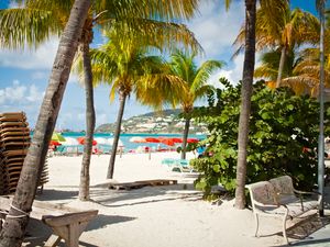 Preview wallpaper beach, palm trees, sand, summer