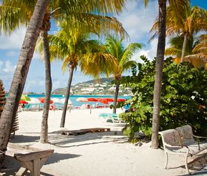 Preview wallpaper beach, palm trees, sand, summer