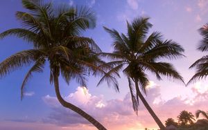 Preview wallpaper beach, palm trees, sand, sky, sunset