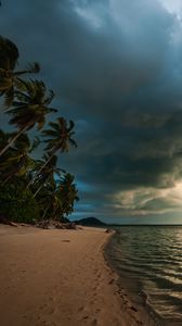 Preview wallpaper beach, palm trees, sea, landscape