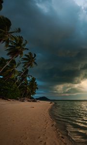 Preview wallpaper beach, palm trees, sea, landscape