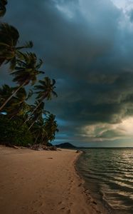 Preview wallpaper beach, palm trees, sea, landscape