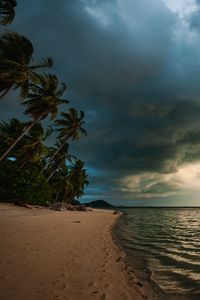 Preview wallpaper beach, palm trees, sea, landscape