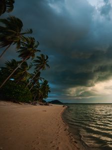 Preview wallpaper beach, palm trees, sea, landscape