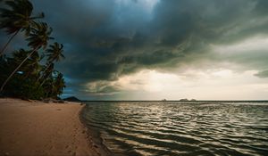 Preview wallpaper beach, palm trees, sea, landscape