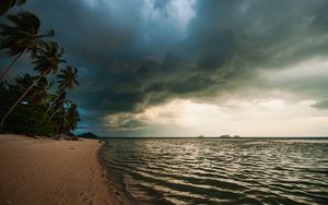 Preview wallpaper beach, palm trees, sea, landscape