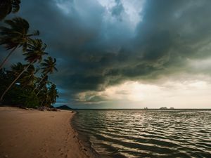 Preview wallpaper beach, palm trees, sea, landscape