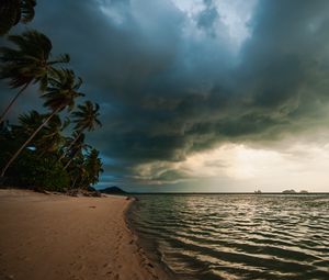 Preview wallpaper beach, palm trees, sea, landscape