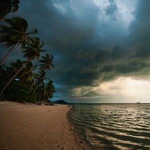 Preview wallpaper beach, palm trees, sea, landscape