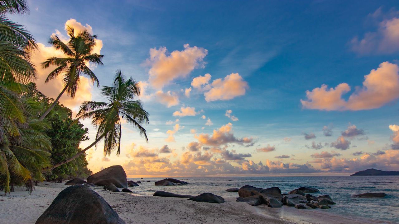 Wallpaper beach, palm trees, sea, nature, landscape