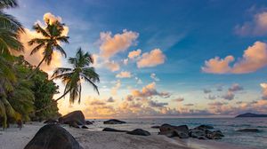 Preview wallpaper beach, palm trees, sea, nature, landscape
