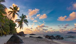 Preview wallpaper beach, palm trees, sea, nature, landscape