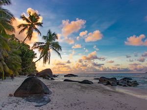 Preview wallpaper beach, palm trees, sea, nature, landscape