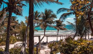 Preview wallpaper beach, palms, summer, tropics, rest