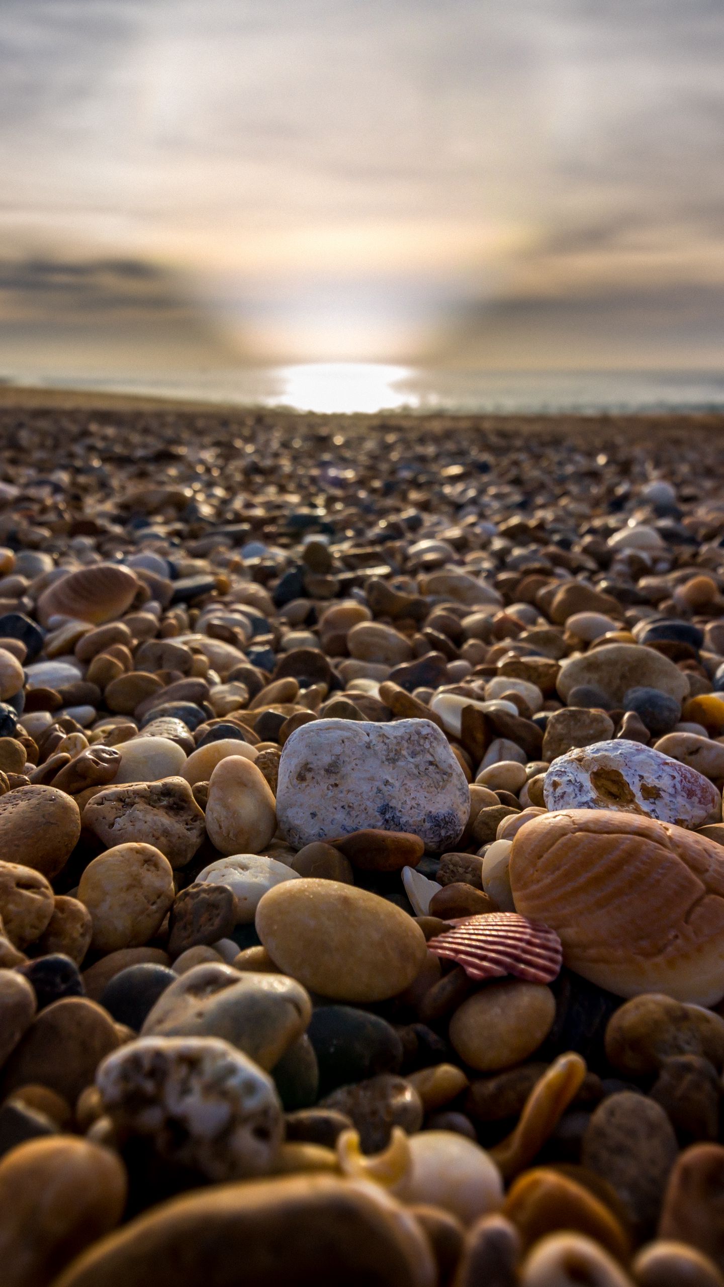 Pebbles Photos, Download The BEST Free Pebbles Stock Photos & HD Images