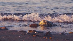 Preview wallpaper beach, pebbles, waves, water, sea