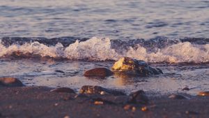 Preview wallpaper beach, pebbles, waves, water, sea