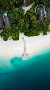 Preview wallpaper beach, pier, aerial view, palm trees, tropics