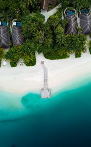 Preview wallpaper beach, pier, aerial view, palm trees, tropics