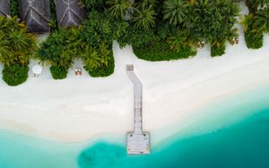 Preview wallpaper beach, pier, aerial view, palm trees, tropics