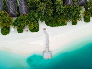 Preview wallpaper beach, pier, aerial view, palm trees, tropics