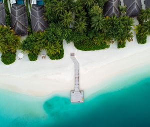 Preview wallpaper beach, pier, aerial view, palm trees, tropics