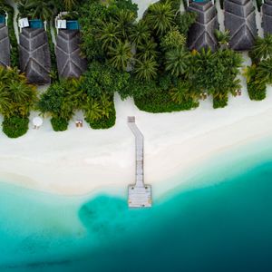 Preview wallpaper beach, pier, aerial view, palm trees, tropics