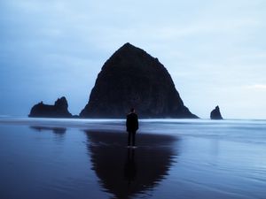 Preview wallpaper beach, rocks, sea, man, loneliness