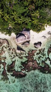 Preview wallpaper beach, rocks, trees, water, aerial view