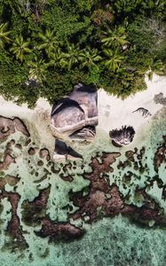 Preview wallpaper beach, rocks, trees, water, aerial view