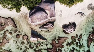 Preview wallpaper beach, rocks, trees, water, aerial view