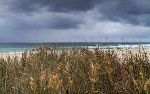 Preview wallpaper beach, sand, grass, sea, landscape