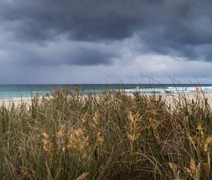 Preview wallpaper beach, sand, grass, sea, landscape