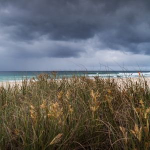 Preview wallpaper beach, sand, grass, sea, landscape