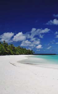 Preview wallpaper beach, sand, palm, island, tropical, maldives