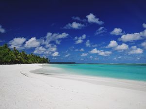 Preview wallpaper beach, sand, palm, island, tropical, maldives