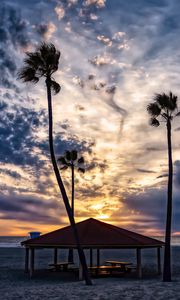 Preview wallpaper beach, sand, palm trees, tropics, sky, clouds