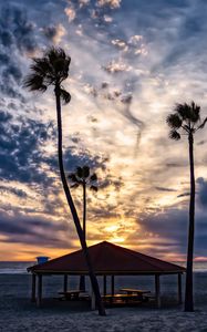 Preview wallpaper beach, sand, palm trees, tropics, sky, clouds