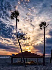 Preview wallpaper beach, sand, palm trees, tropics, sky, clouds