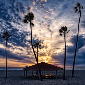 Preview wallpaper beach, sand, palm trees, tropics, sky, clouds