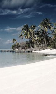 Preview wallpaper beach, sand, palm trees