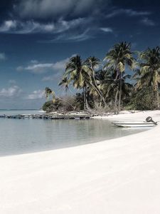 Preview wallpaper beach, sand, palm trees