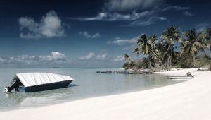 Preview wallpaper beach, sand, palm trees