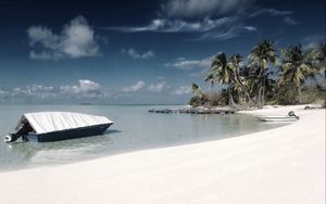 Preview wallpaper beach, sand, palm trees