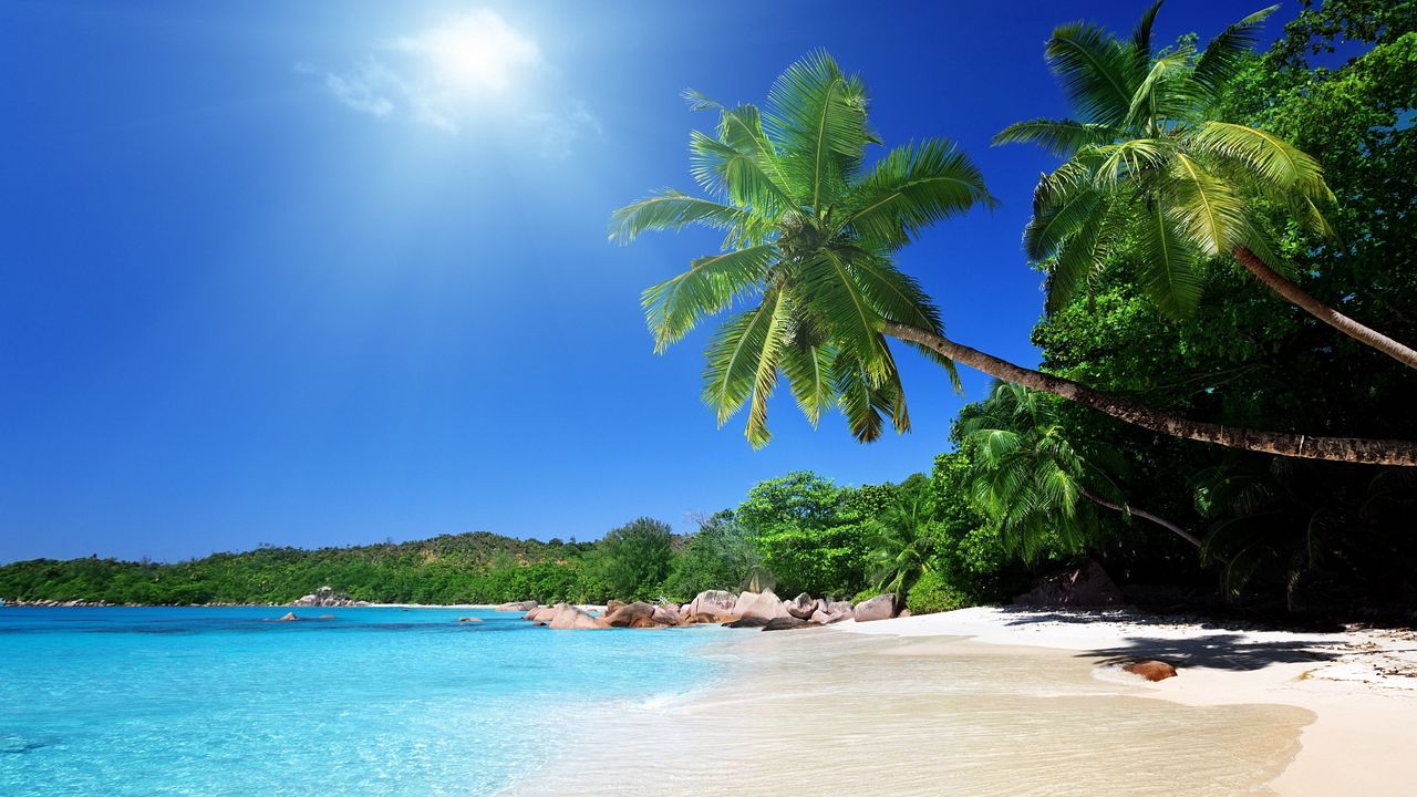Wallpaper beach, sand, palm trees, tropical
