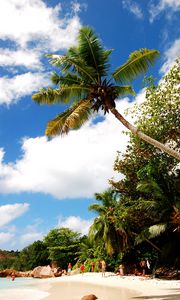 Preview wallpaper beach, sand, palm trees